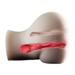 Masturbador Meio Corpo Cyberskin – Vagina e Ânus (1kg)