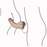 GripShape – Masturbador Masculino Formato de Pênis com Ânus